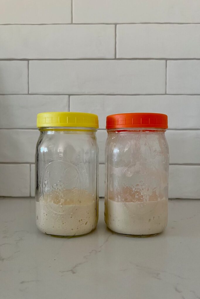 Two jars of sourdough starter sitting on a white granite bench in front of a white tiled wall. The jar on the left has a yellow lid the sides of the jar are clean. The jar on the right has an orange lid and the sides of the jar are dirty.