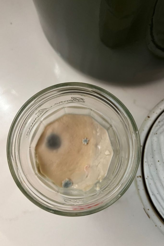 3 large spots of mold visible on the top of the sourdough starter. The photo is taken from above the jar looking down.