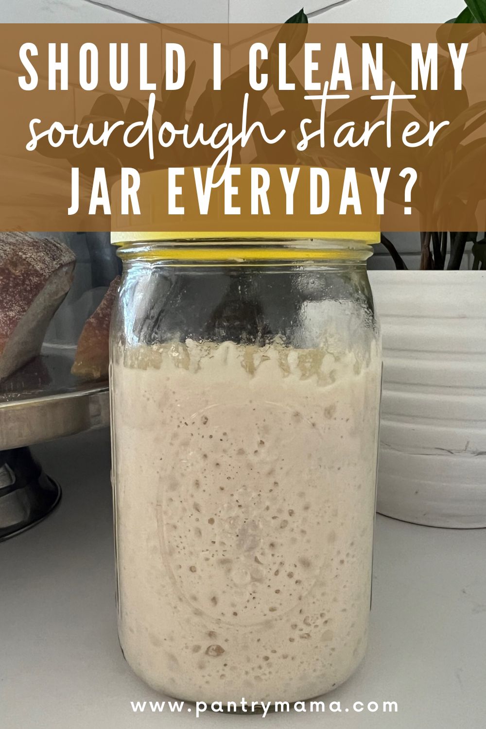 Should You Clean Your Sourdough Starter Jar? The Pantry Mama