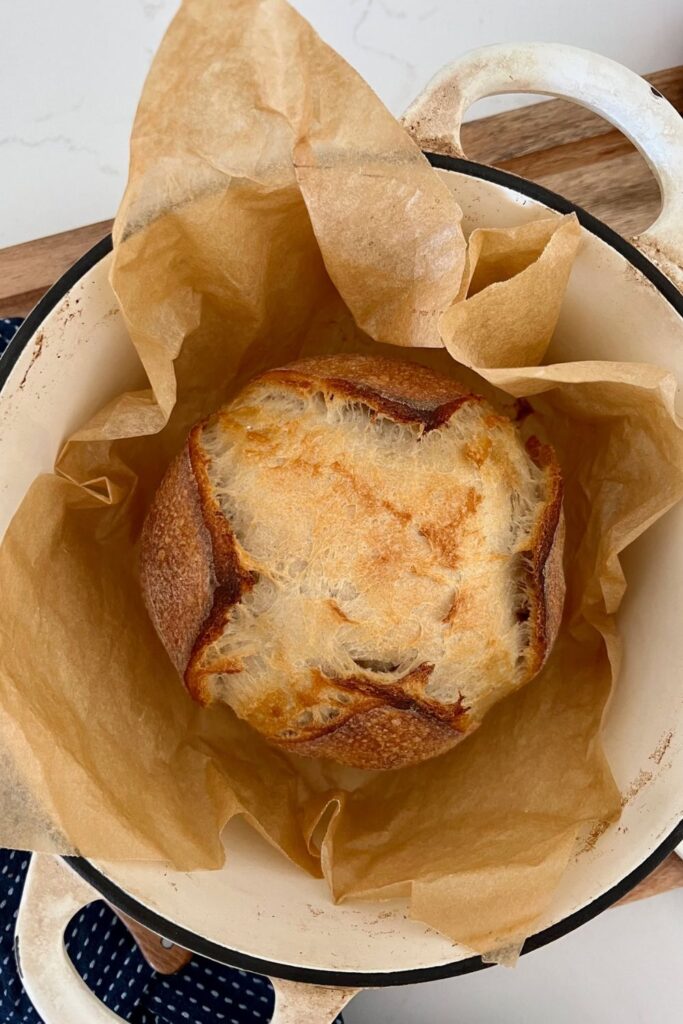 Small sourdough loaf sitting in a cream enamel Dutch Oven surrounded by parchment paper.