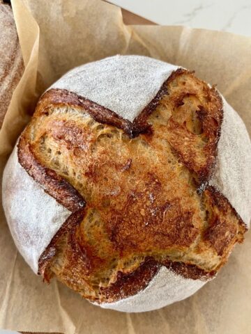 Sourdough rye bread recipe shaped into a boule. The bread has been scored with a cross and has been dusted with rye flour to enhance the scoring.