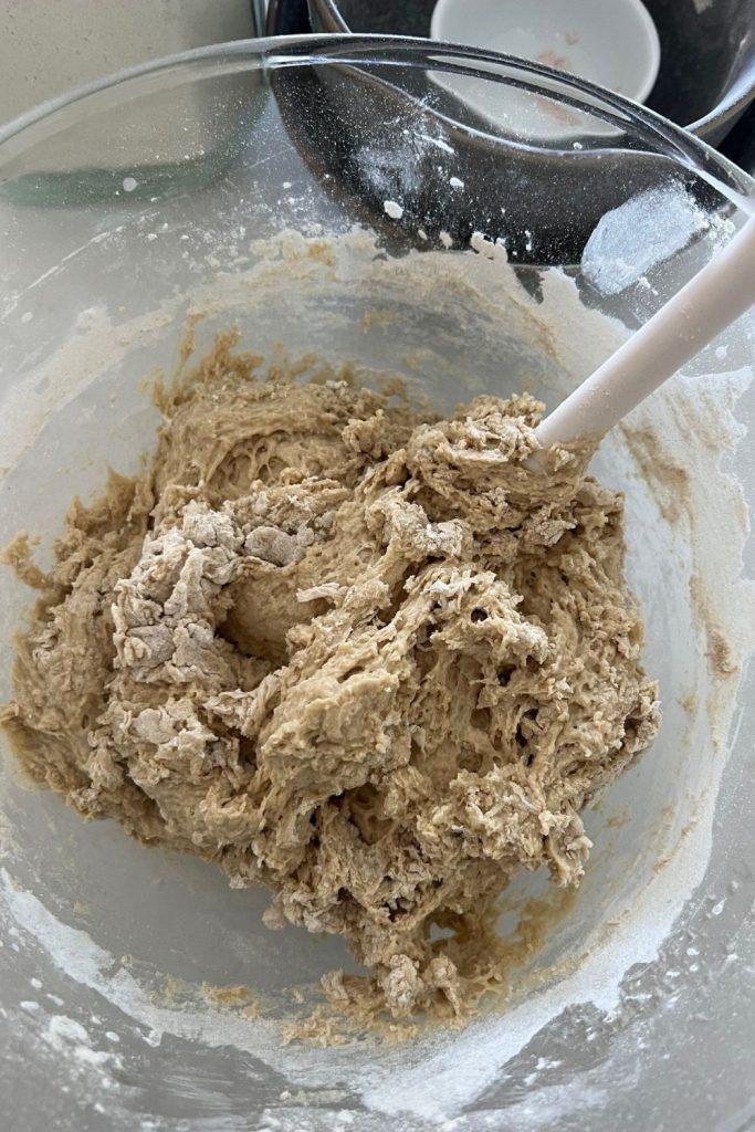 Sourdough rye bread dough that has just been mixed together and ready to be autolysed. The dough is dry and shaggy and there is umixed flour visible.