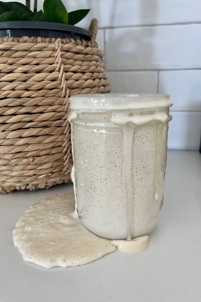 An overfed sourdough starter that has overflowed the jar that it is in. The sourdough starter is dribbling down the side of the jar and onto the counter making a big mess. There is a cane basket with a plant in the background behind the jar of sourdough starter.