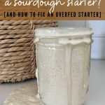 CAN YOU OVERFEED A SOURDOUGH STARTER - PINTEREST IMAGE