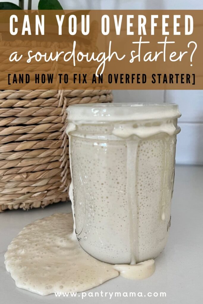 CAN YOU OVERFEED A SOURDOUGH STARTER - PINTEREST IMAGE