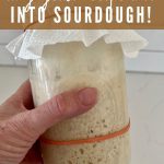 HOW TO CONVERT ANY YEAST RECIPE TO SOURDOUGH - PINTEREST IMAGE