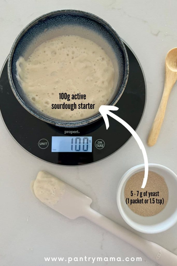 Inforgraphic - how to convert yeast recipe to sourdough. The graphic shows a bowl containing 100g of sourdough starter sitting on a kitchen scale next to a small bowl of 7g of yeast.