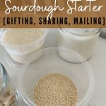 How to Share Sourdough Starter - Pinterest Image