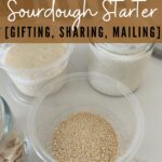 How to Share Sourdough Starter - Pinterest Image