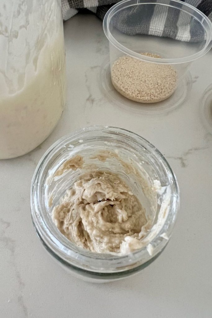 Small jar of stiff sourdough starter ready to be shared with friends and family.