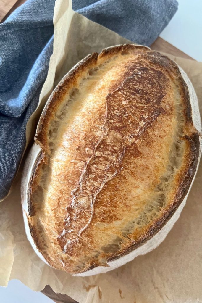 Loaf of overnight sourdough bread that has just been baked and removed from the oven. It is sitting on a piece of parchment paper next to a blue dish towel.