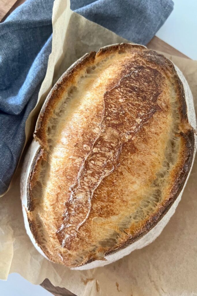 Cold Start Sourdough Bread with Overnight Dough