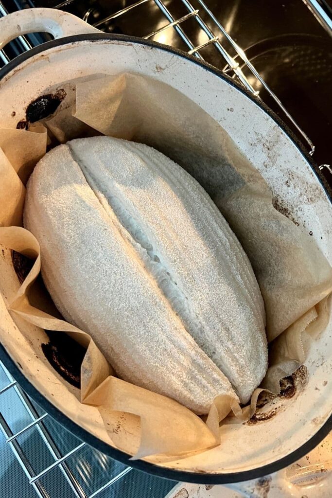 A loaf of overnight sourdough bread that has been scored and placed into an enamel Dutch Oven. The dough is nestled in a piece of parchment paper and the Dutch Oven is sitting on an oven shelf.