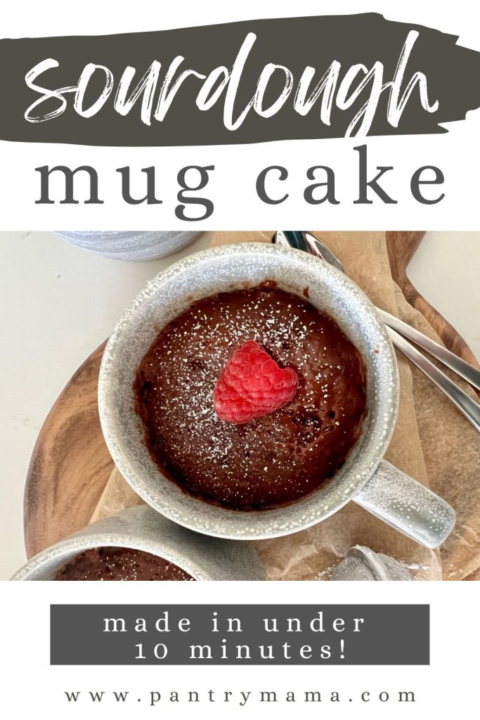 SOURDOUGH MUG CAKE - PINTEREST IMAGE