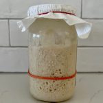 A jar of sourdough starter without a lid - instead it has a piece of paper towel secured with a red elastic band.