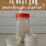 SOURDOUGH STARTER LID ON OR OFF - PINTEREST IMAGE