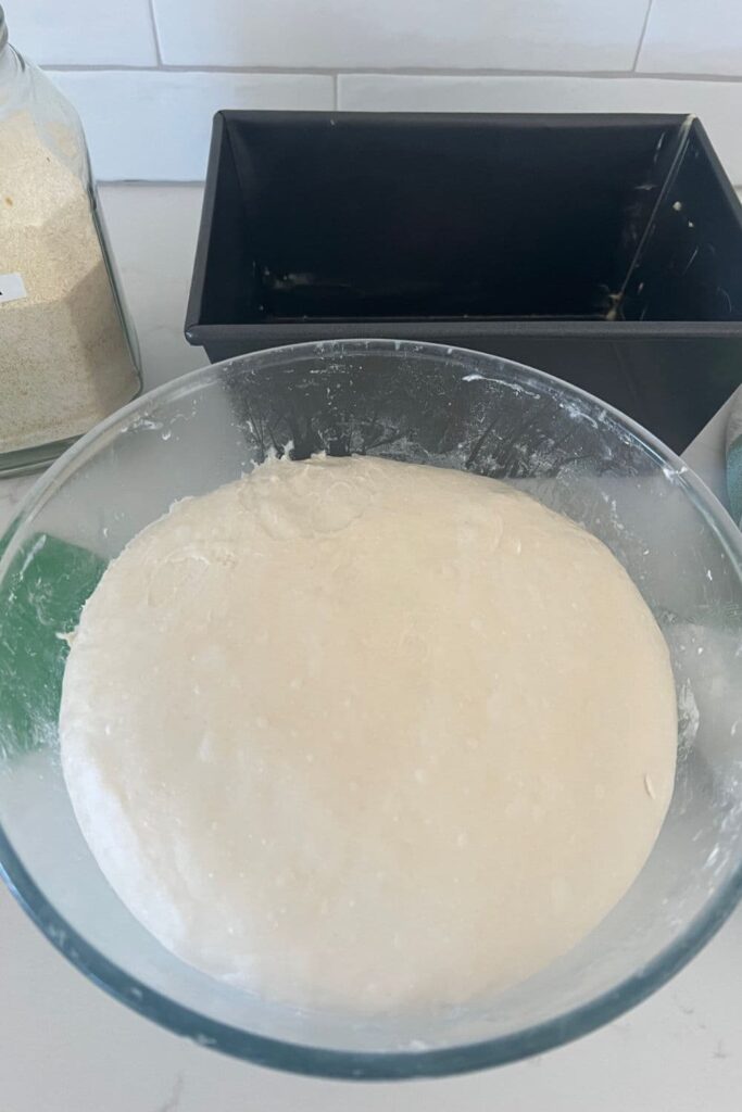 sourdough that has come to the end of bulk fermentation. You can see the dough is doubled and domed up in the bowl. There is a jar of semolina and large loaf pan in the background.