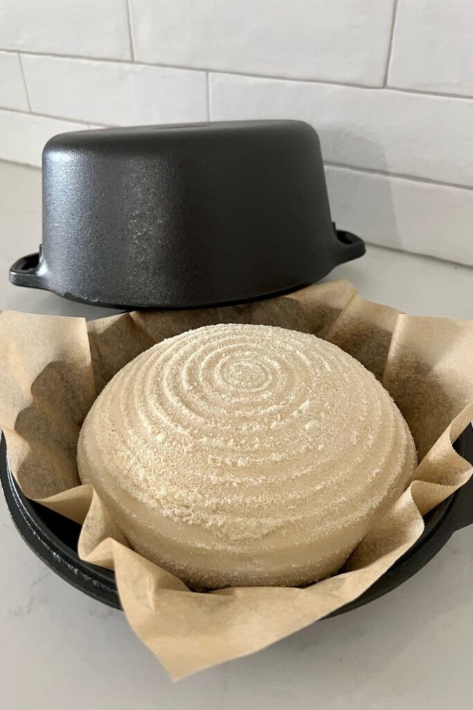 A loaf of sourdough uncooked sourdough bread sitting on the upturned lid of a Lodge Double Dutch Oven. The "cloche" of the combo cooker is sitting behind the dough.