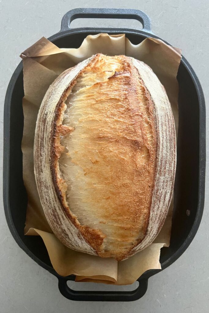 Cast Iron Bread Pan with the lid off. There is a loaf of sourdough sitting inside the pan with a sheet of parchment paper underneath it.