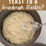 CAN YOU ADD YEAST TO A SOURDOUGH STARTER - PINTEREST IMAGE