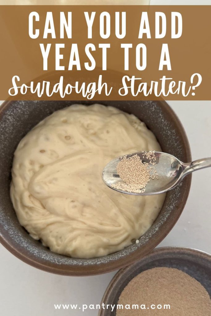 CAN YOU ADD YEAST TO A SOURDOUGH STARTER - PINTEREST IMAGE