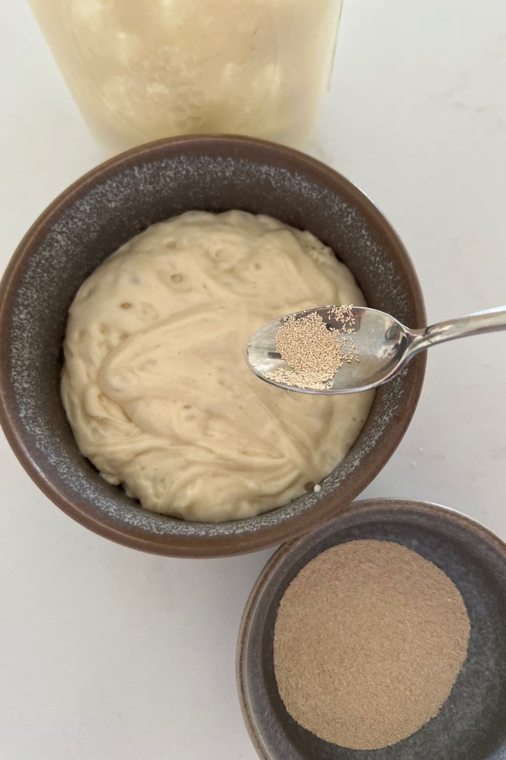 How to add sourdough discard to any recipe the pantry mama
