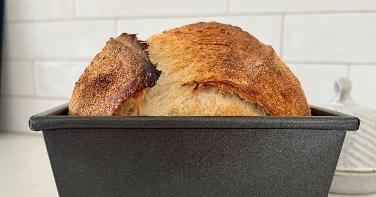 Can You Bake Sourdough In A Loaf Pan? - The Pantry Mama