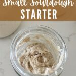 HOW TO MAKE A SMALL SOURDOUGH STARTER - PINTEREST IMAGE