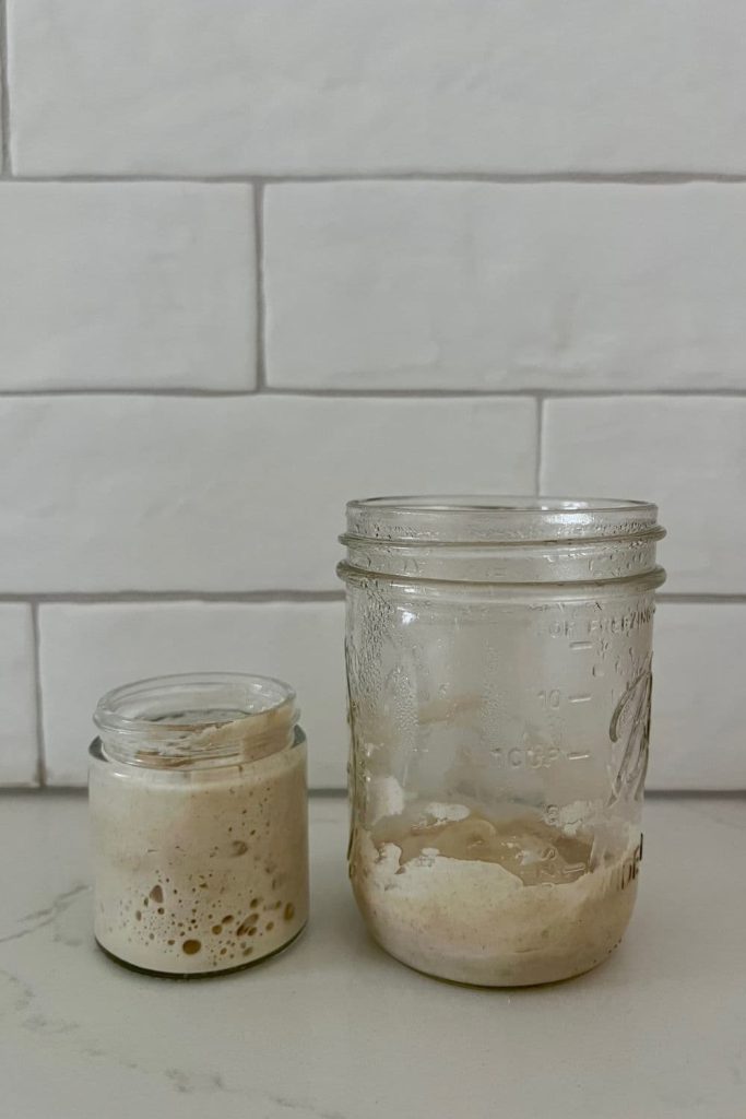 How to make a small sourdough starter - This photo shows two smaller sourdough starters, both weighing in at 60g each - but one is in a 120 ml jar and one is in a 400 ml jar. 