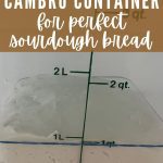 How To Use A Cambro Container for easier sourdough baking - Pinterest Image