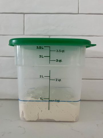 4Q Cambro Container sitting on the kitchen counter with a batch of sourdough inside. It comes up to the 1L mark on the side of the container.
