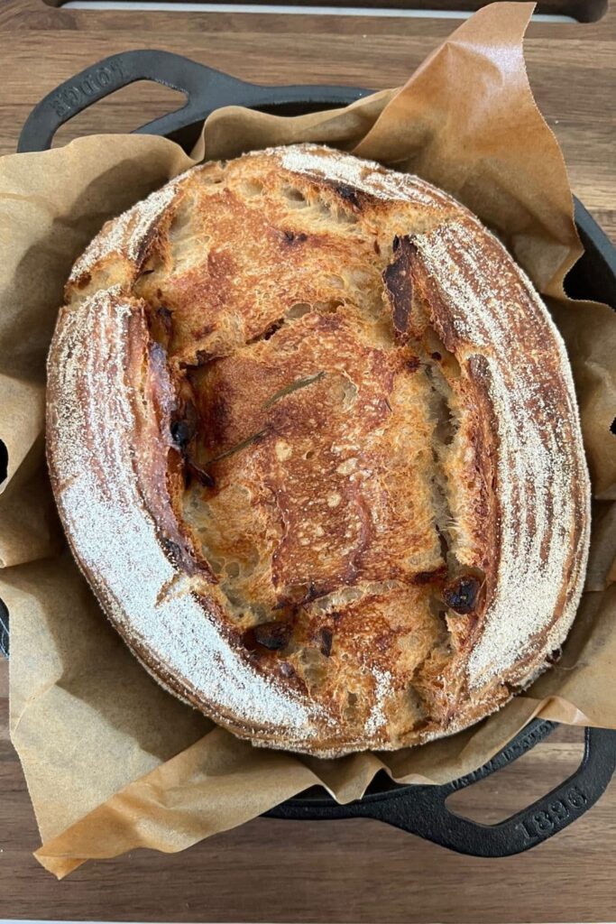 Loaf of roasted garlic sourdough bread sitting in a Lodge Dutch Oven. There is a piece of parchment paper sitting under the loaf.