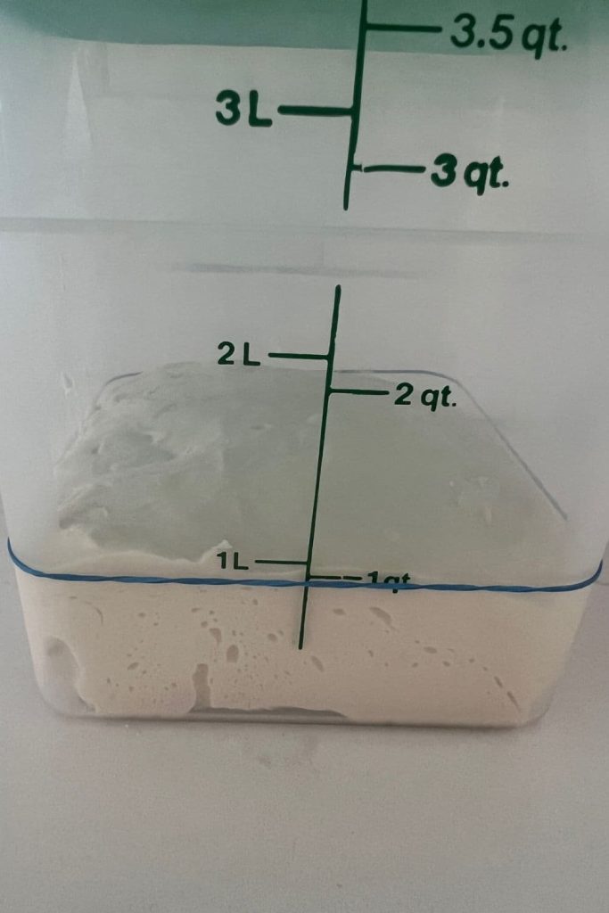 Sourdough bread dough inside a Cambro Container with a green lid. There is an elastic band marking the level of the dough.