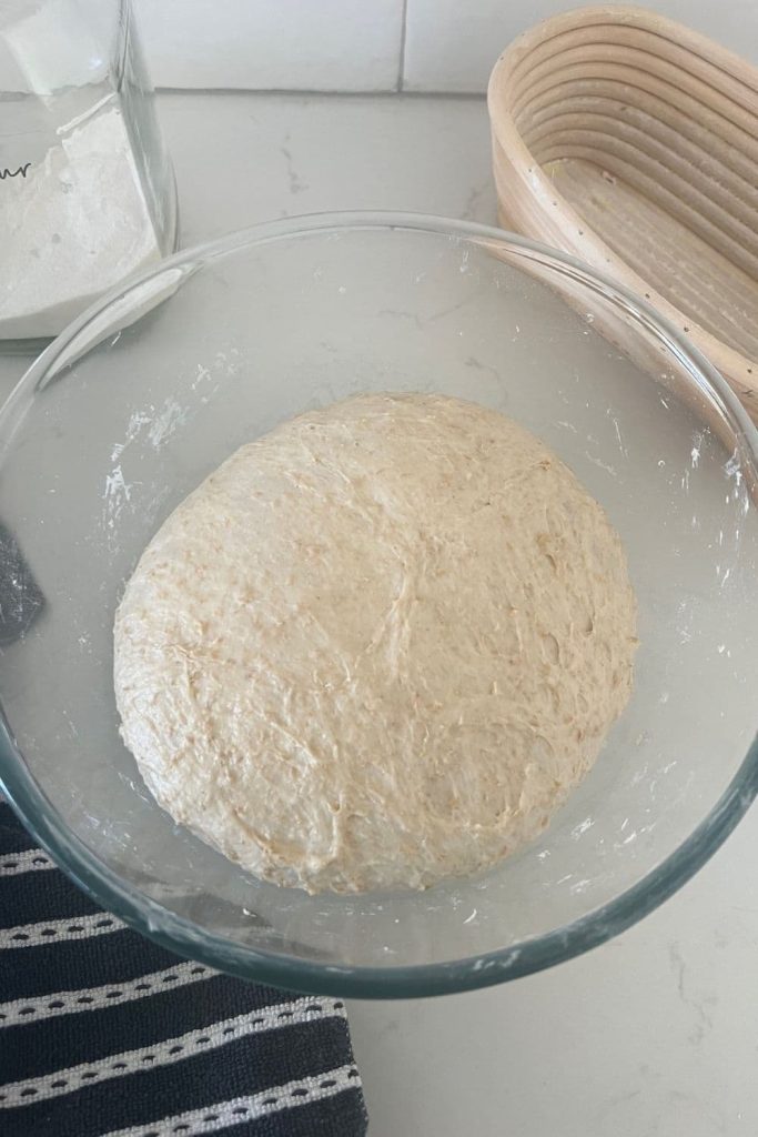 A bowl of sourdough that has been through bulk fermentation. The dough has doubled and has a domed surface.