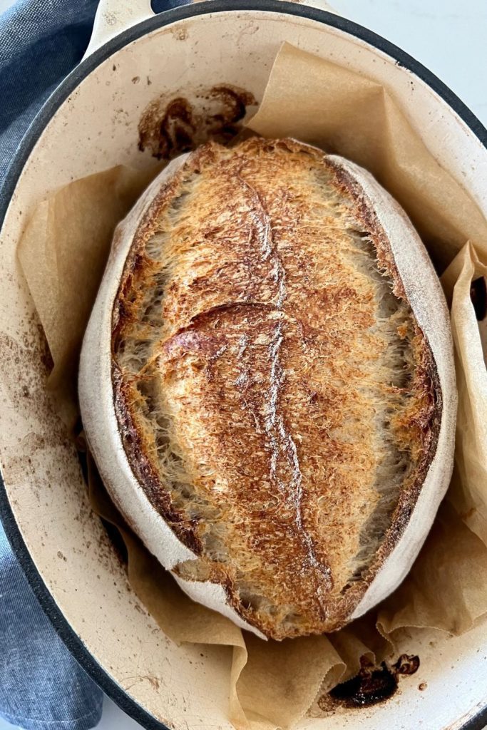 Sourdough Spelt Bread Recipe - Feature Image - There is a large loaf of sourdough spelt bread sitting in a stained enamel Dutch Oven. The loaf is well browned with a large belly and two ears. There is a denim blue dish towel sitting to the left of the loaf.