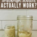 PINTEREST IMAGE - HOW DOES SOURDOUGH STARTER ACTUALLY WORK