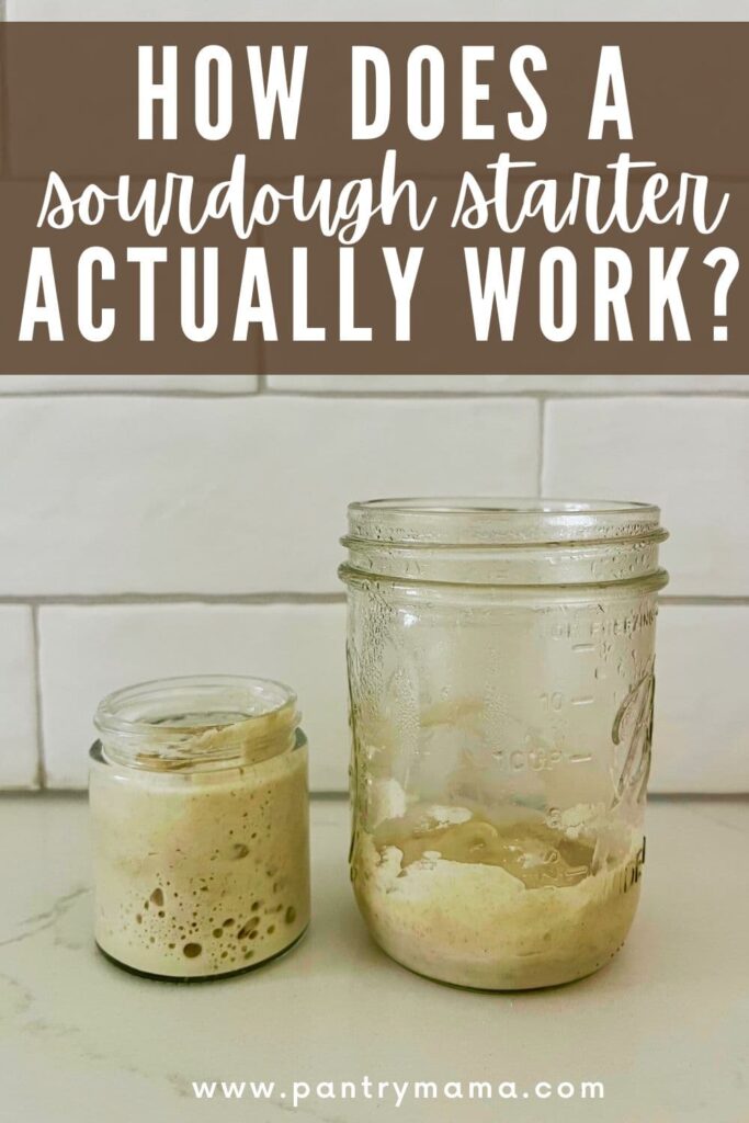 PINTEREST IMAGE - HOW DOES SOURDOUGH STARTER ACTUALLY WORK