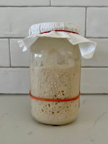 Jar of sourdough starter sitting on a kitchen counter in front of a white tiled wall. There is a red rubber band around the jar to show that the sourdough starter has doubled. The starter is covered with a piece of paper towel and a rubber band.