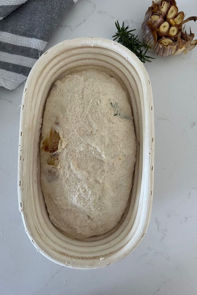 A loaf of roasted garlic and rosemary sourdough bread that has been shaped and placed into an oval banneton. There is a head of roasted garlic and some fresh rosemary in the photo too.