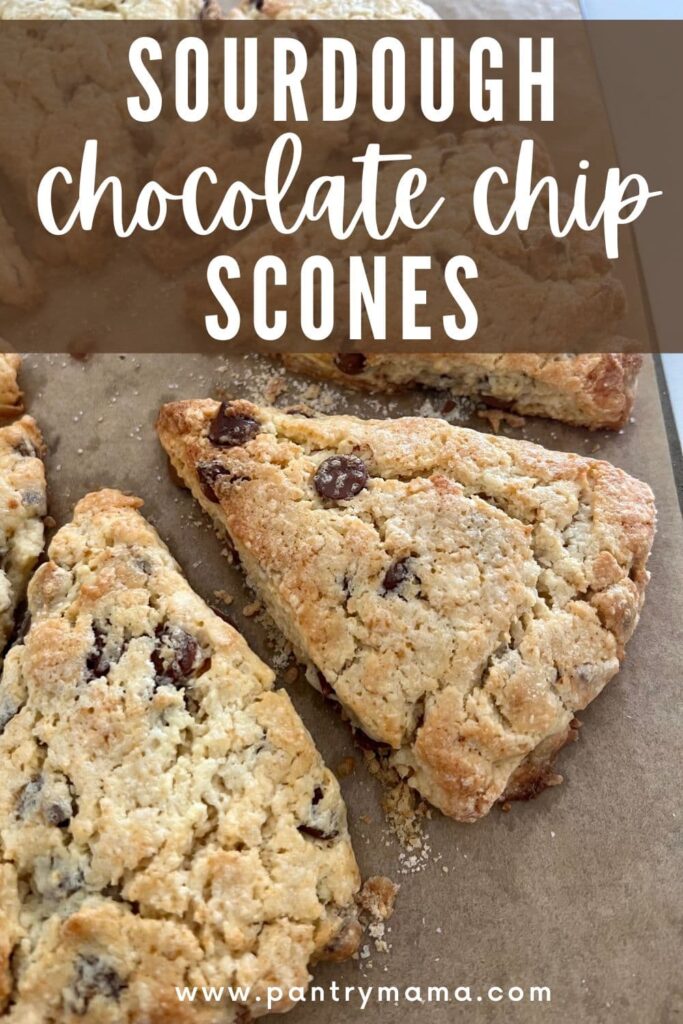 SOURDOUGH CHOCOLATE CHIP SCONES - PINTEREST IMAGE