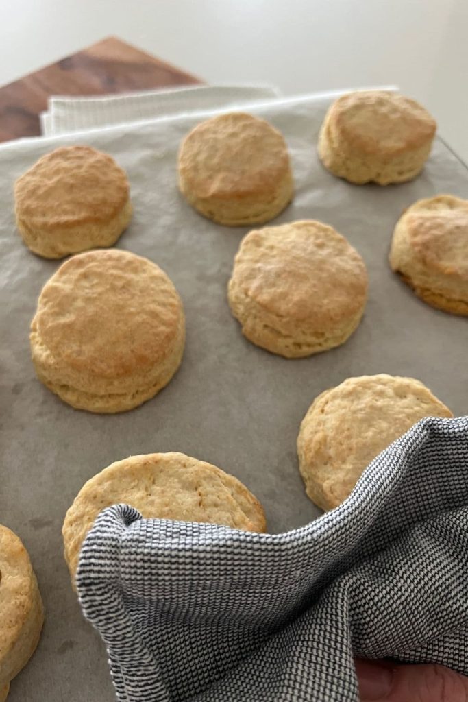 Flakey sourdough biscuits that have just been removed from the oven. They are on a cookie sheet lined with parchment paper.