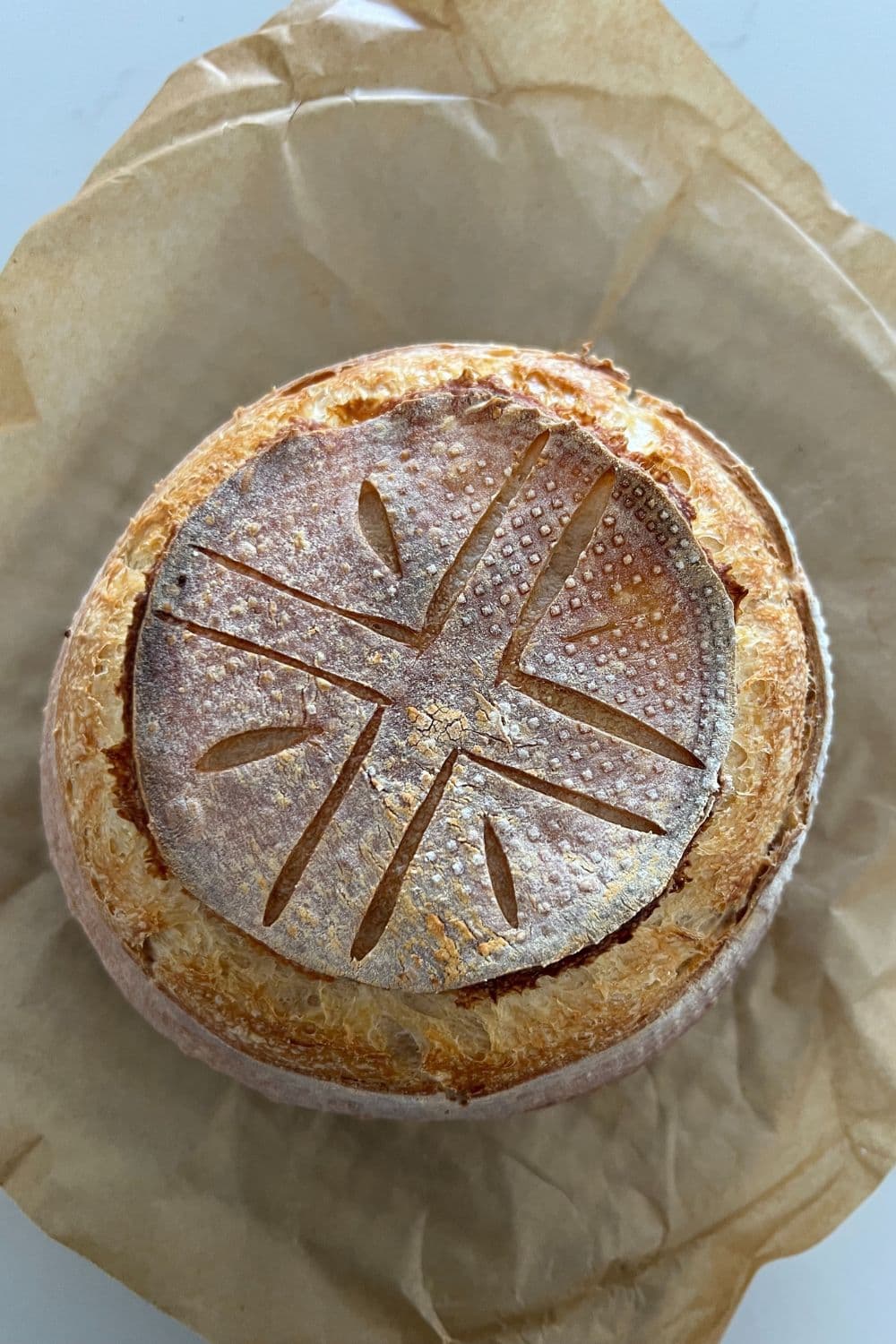 Baked Brie in a Sourdough Bread Bowl [with honey & thyme] The Pantry Mama