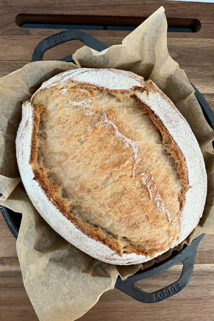 A loaf of Dutch Oven Sourdough Bread that has just come out of the oven. There is parchment paper sitting under the loaf. The sourdough has been baked in a Lodge Double Dutch Oven.