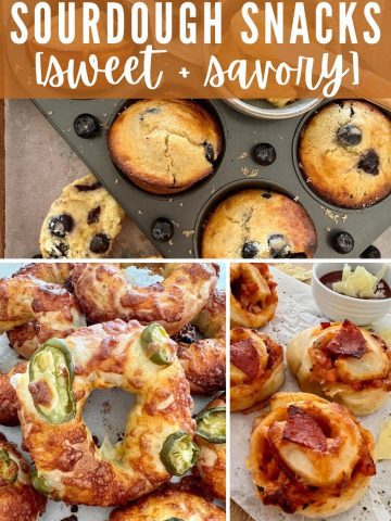Sourdough Snacks - Sweet and Savory - Feature Pinterest Image