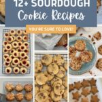 SOURDOUGH COOKIE RECIPES - PINTEREST IMAGE