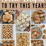16+ SOURDOUGH COOKIE RECIPES TO TRY THIS YEAR - PINTEREST IMAGE