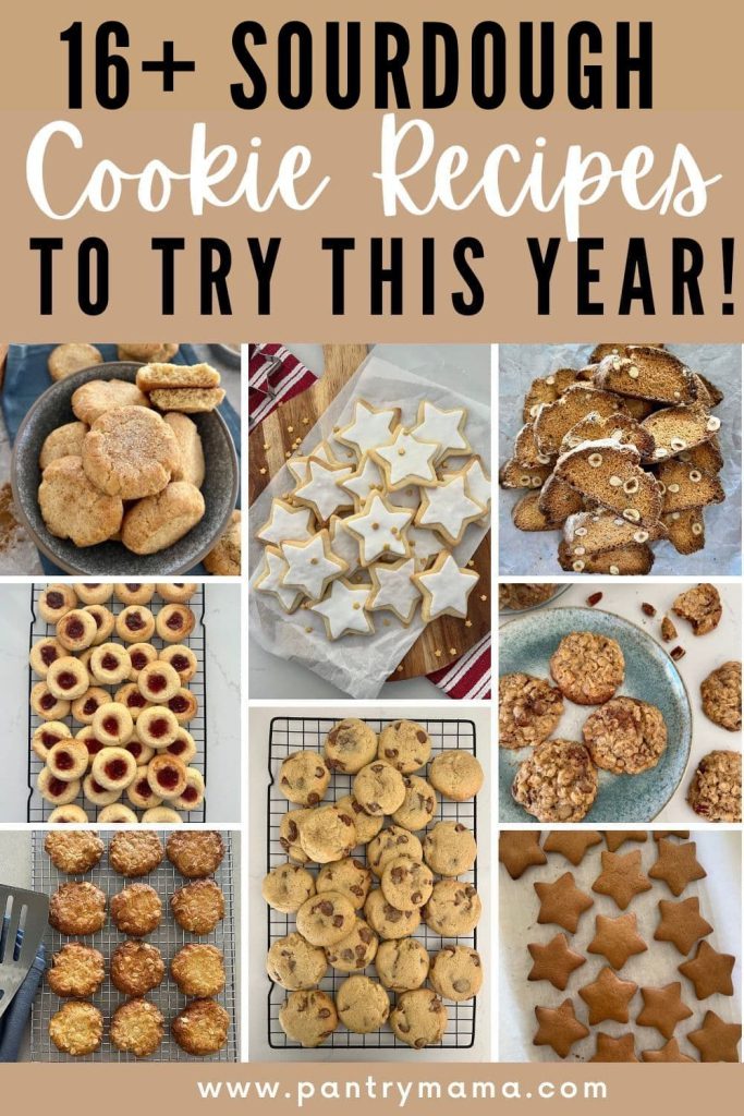 16+ SOURDOUGH COOKIE RECIPES TO TRY THIS YEAR - PINTEREST IMAGE