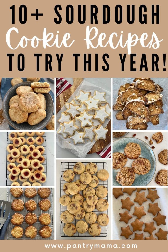 BEST SOURDOUGH COOKIE RECIPES TO TRY THIS YEAR - PINTEREST IMAGE