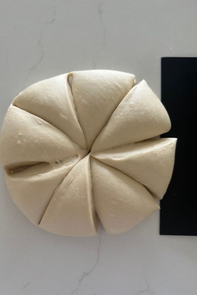 A round of dough that has been cut into 8 equal portions. It looks a little like how a pizza would be sliced.