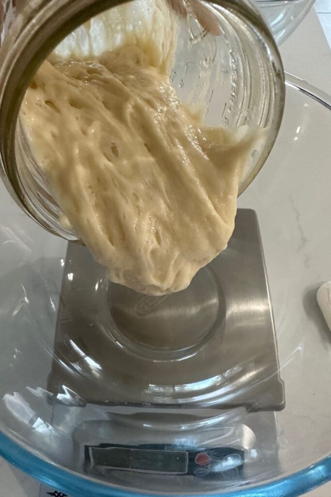 Bubbly sourdough levain being poured into a glass bowl that is sitting on a set of baker's scales.